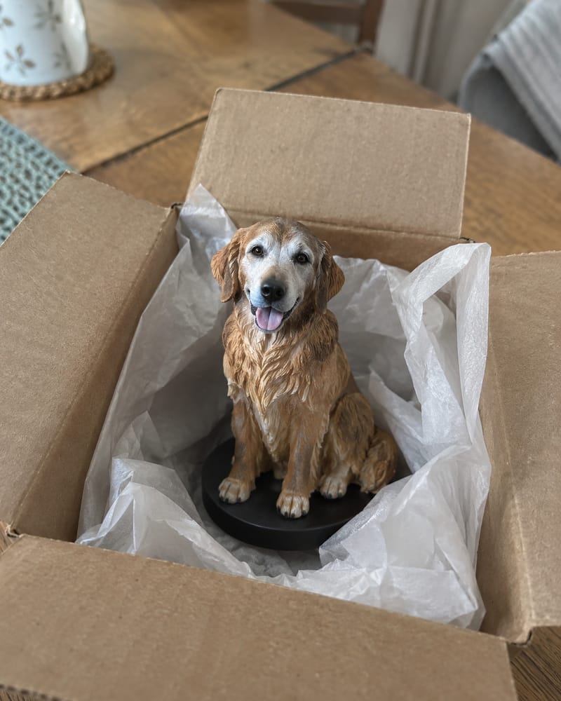 The finished hand-painted golden retriever mini me in a small gift box
